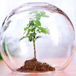 Антистресанти