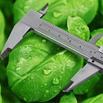 Регулятори зростання