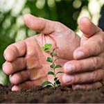 Засоби захисту