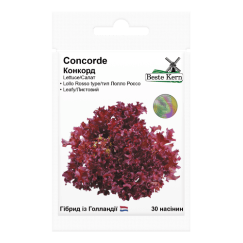 Салат Конкорд